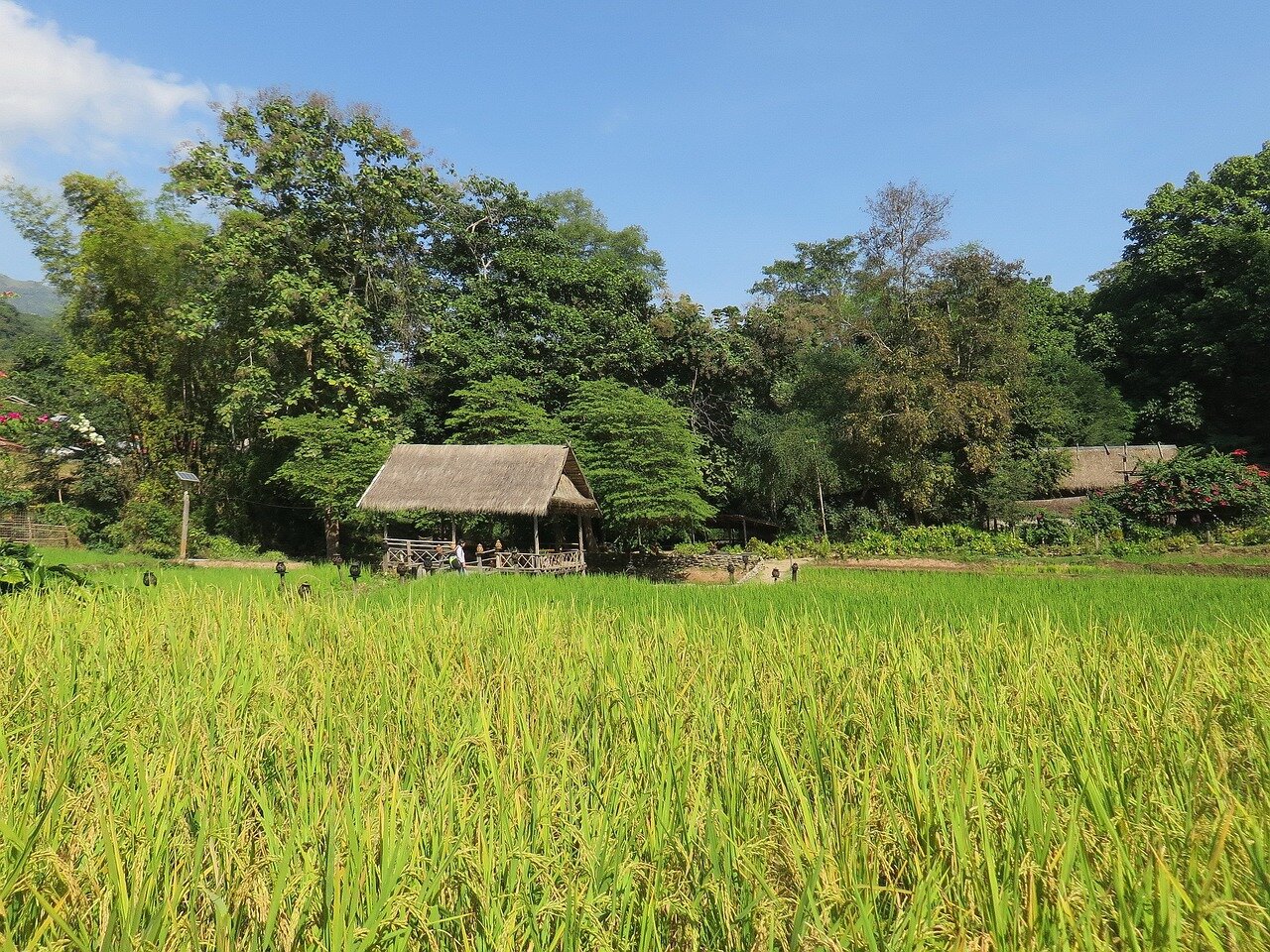 Begin your visa-prepared day with Laos’s tranquil ambiance